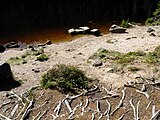 Der Glaswaldsee bei Bad Rippoldsau-Schapbach