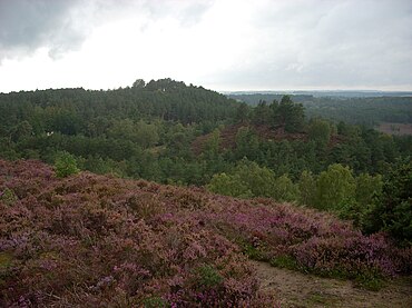 The Devil's Jumps. Looking across Middle Jump to High Jump from the summit of the easternmost hill, Stony Jump