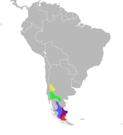 Rojo = D. darwinii Amarillo = D. leopardinus Verde = D. sextinctus Azul = D. bibronii
