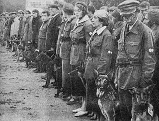 Anti-tank dog Dogs taught to detonate explosives in the vicinity of tanks, trained by the USSR