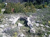 Dolmen fra Mas de Vedel