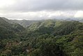 Paysage de l'île Dominique