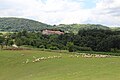 Dračić - panorama