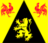 Flag of Valoņu Brabante