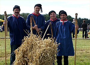 Traditionelles Dreschen mit dem Dreschflegel im Blauhemd