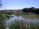 Dry Creek, South Australia