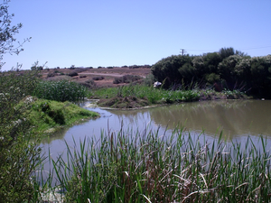 Dry Creek (Adelaide)