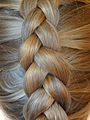 full Dutch braid