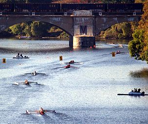 Ósemki na czele Schuylkill.jpg