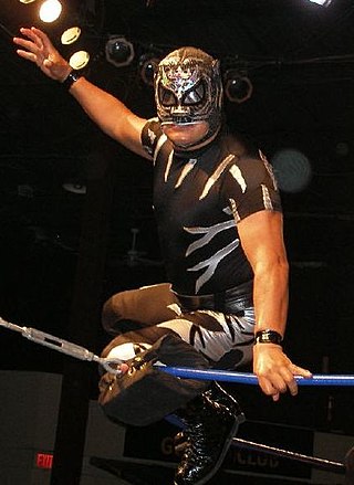 <span class="mw-page-title-main">IWRG Rey del Ring</span> Professional tournament by International Wrestling Revolution Group