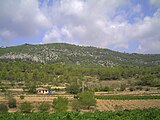Català: Olèrdola (Garraf, Alt Penedès) (Canyelles, Olèrdola). This is a a photo of a natural area in Catalonia, Spain, with id: ES510149 Object location 41° 17′ 52.8″ N, 1° 42′ 36″ E  View all coordinates using: OpenStreetMap