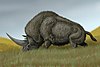 Elasmotherium