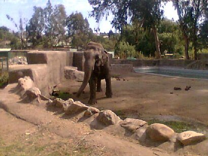 Cómo llegar a Zoológico De Quilpué en transporte público - Sobre el lugar