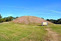 Il Great Emerald Mound, dalla cultura del Mississippi.