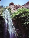 Cascada En Gedi.jpg