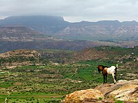Les hauts plateaux d'Éthiopie