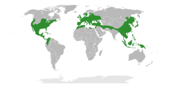 Fagaceae Distribution.svg