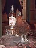 Miniatuur voor The Famous Grouse