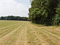 Field near Hyde Heath - geograph.org.uk - 193945.jpg