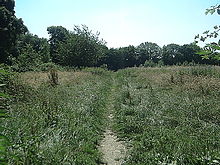 Despite the development of Prestwood, and the local area as a whole, the village retains picturesque fields and rolling hills. Fields in Prestwood.jpg