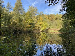 Fischteich an der Neye Unternien