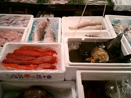Fish Market, Tokyo