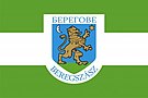 Flag of Berehove.jpg