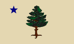 Thumbnail for Flag of Maine (1901–1909)