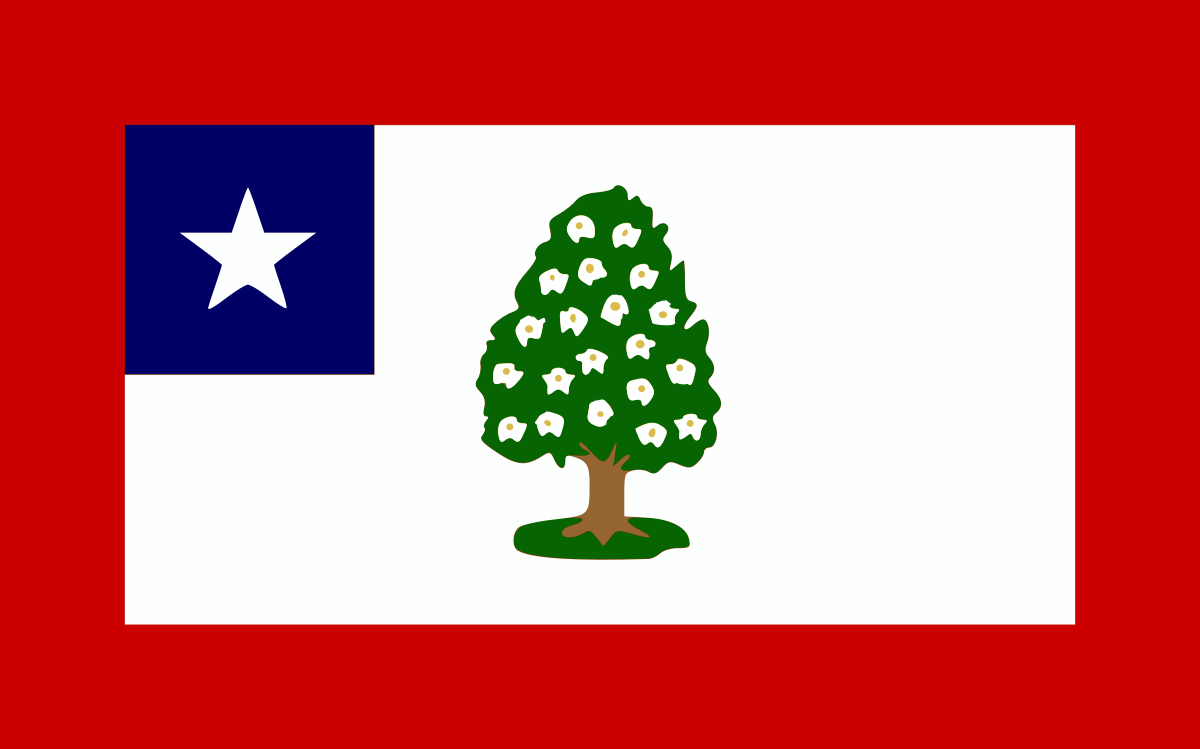 10th Mississippi Infantry American Civil War themed Yard Flag