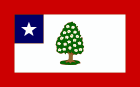 Drapeau civil et drapeau d’État, entre 1861 et 1865.