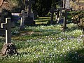 Flowers in Busbridge churchyard - geograph.org.uk - 2299093.jpg