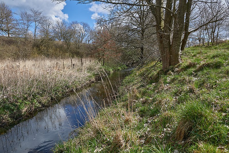 File:Fluss Oxbek am Rand des Naturschutzgebiets Os bei Süderbrarup 3665.jpg