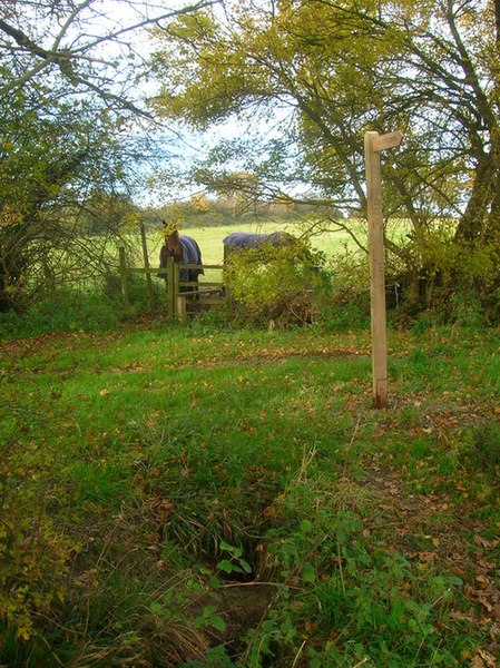 File:Footpath to Horn Lane - geograph.org.uk - 1037431.jpg