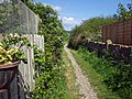 wikimedia_commons=File:Footway, Normans Bay, Pevensey.jpg