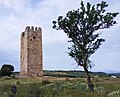* Nomination Ruins of Frankish tower, Vravrona, Greece--Νικόλαος Κυριακάκης 11:44, 24 April 2023 (UTC) * Promotion Need perspective correction. --Milseburg 15:56, 28 April 2023 (UTC)  Done --Νικόλαος Κυριακάκης 21:46, 28 April 2023 (UTC) Better now. Is it possible to remove the posterization in the sky? --Milseburg 12:09, 29 April 2023 (UTC)  Done I think it looks better now. --Νικόλαος Κυριακάκης 09:02, 30 April 2023 (UTC) Good enough for QI. --Milseburg 10:00, 1 May 2023 (UTC)