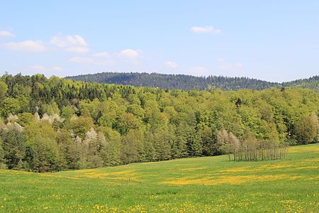 Franzosenkopf