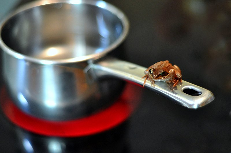 https://upload.wikimedia.org/wikipedia/commons/thumb/4/47/Frog_and_saucepan.jpg/800px-Frog_and_saucepan.jpg