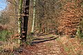 * Nomination GR16 walking path in Bellefontaine (Virton, Parc naturel de Gaume, Belgium) --Trougnouf 22:47, 2 February 2023 (UTC) * Promotion  Support Good quality and beautiful natural colors.--Famberhorst 07:27, 3 February 2023 (UTC)