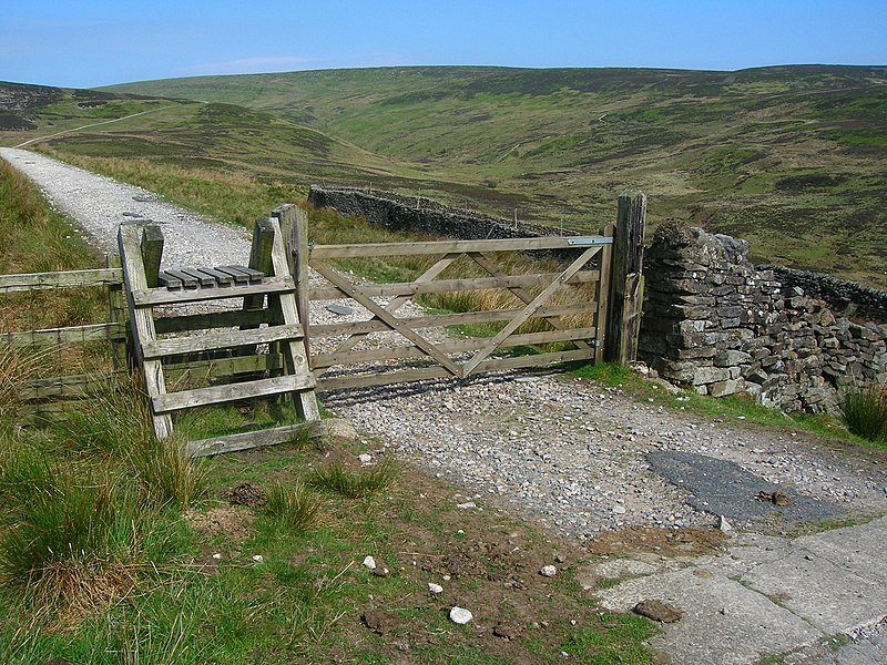 File:Gate and stile on the Hornby Road - geograph.org.uk - 1897464.jpg