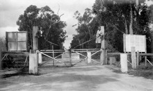 Gate in the Rabbit Fence at Stanthorpe, Queensland, 1934 Gate in the Rabbit Fence at Stanthorpe, Christmas 1934.tiff