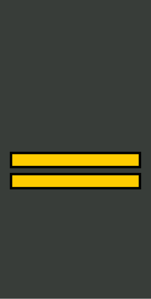 File:Georgia-Army-OR-2.svg