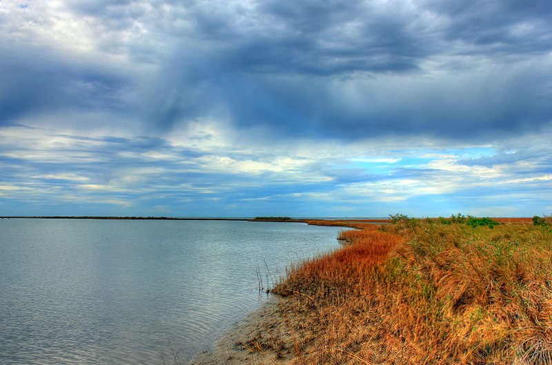 File:Gfp-texas-galveston-island-state-park-inlet-shore.jpg