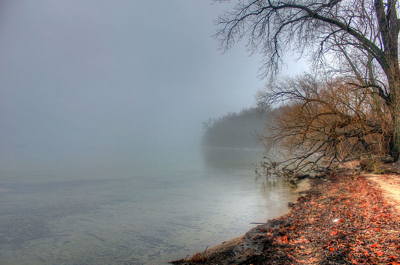 File:Gfp-wisconsin-madison-foggy-lakeshore.jpg