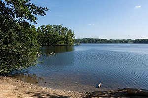 Nature reserve Krickenbecker Seen and Kleiner De Wittsee (July 2015)