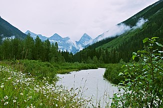 Illecillewaet River, in the background the Sir Donald Range