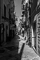 Image 765Golden Retriever and owner on an old street, Barletta, Italy