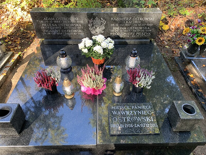File:Grób rodziny Ostrowskich na cmentarzu Witomińskim w Gdyni.jpg