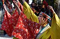 Hachioji Ichou Festival 2019 八王子イチョウ祭り 8