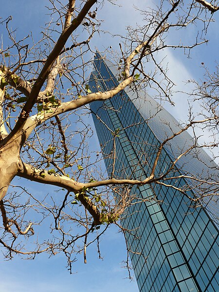 File:Hancock tower with tree.jpg