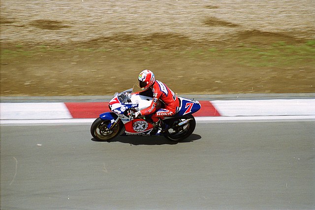 1995 Grand Prix motorcycle racing season - Wikipedia